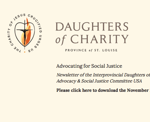 Social Justice Concerns of the Daughters of Charity.