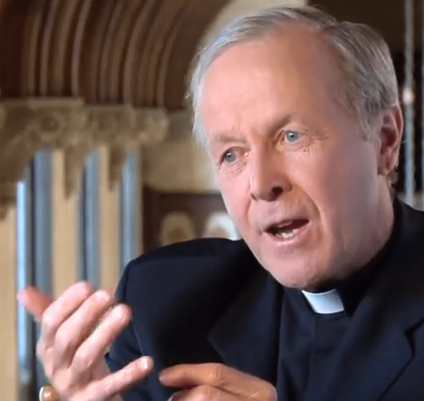 Fr. Maloney video – Systemic Change and Vincentian Holiness