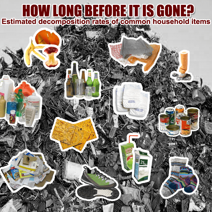 How long does your trash live?