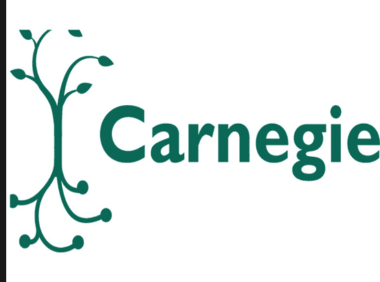 Carnegie Foundation cites 2 Vincentian Universities