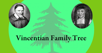 Pocket Guides to the Vincentian Family