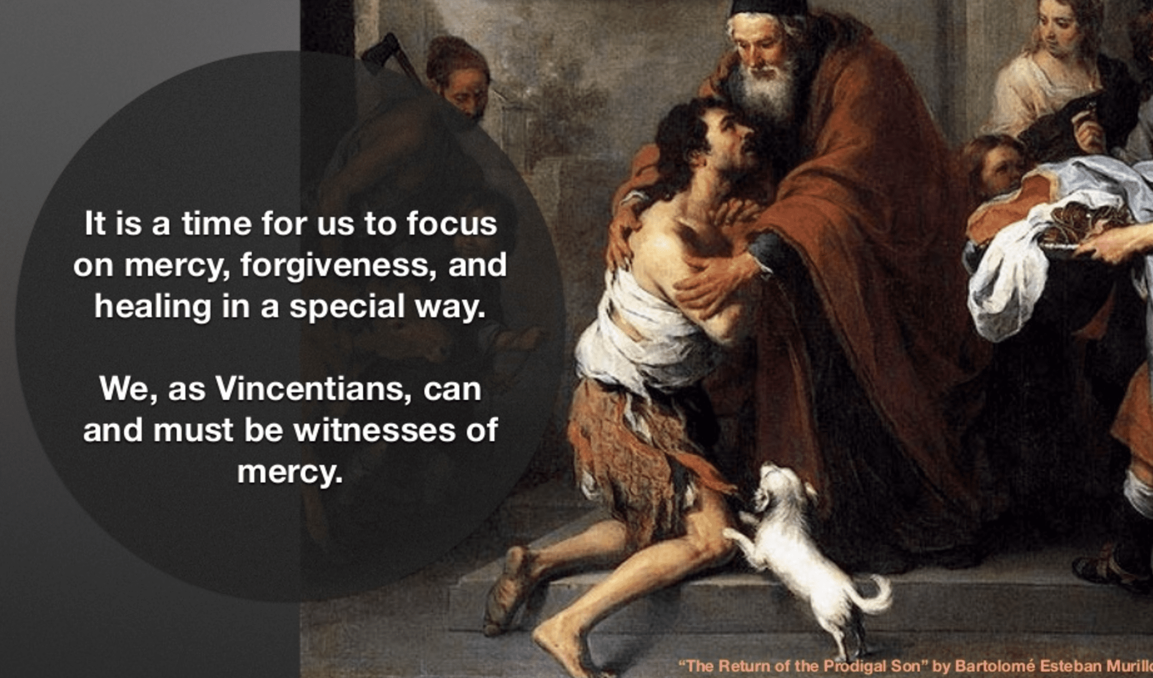 Year of Mercy – special concern of Vincentians
