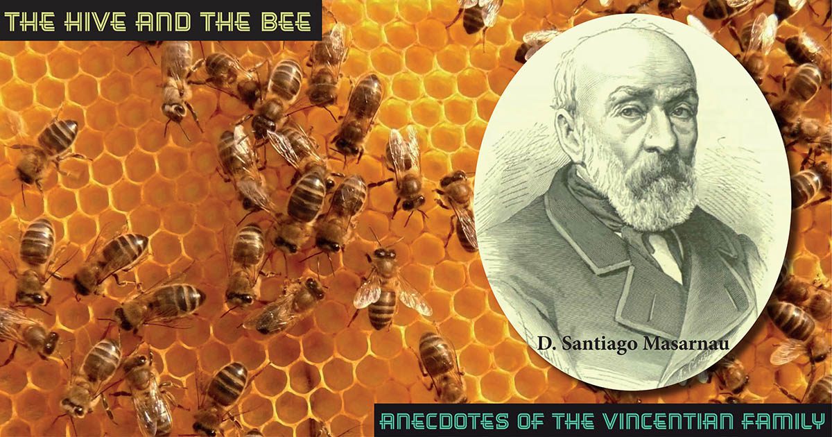 Anecdotes of the Vincentian Family: The hive and the bee