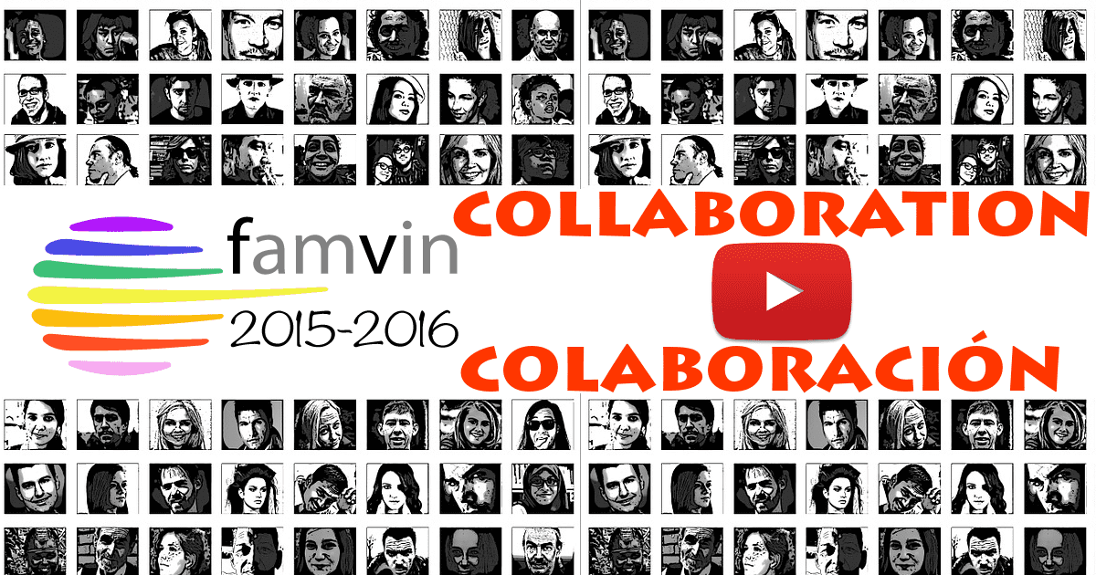 What is Vincentian Collaboration?