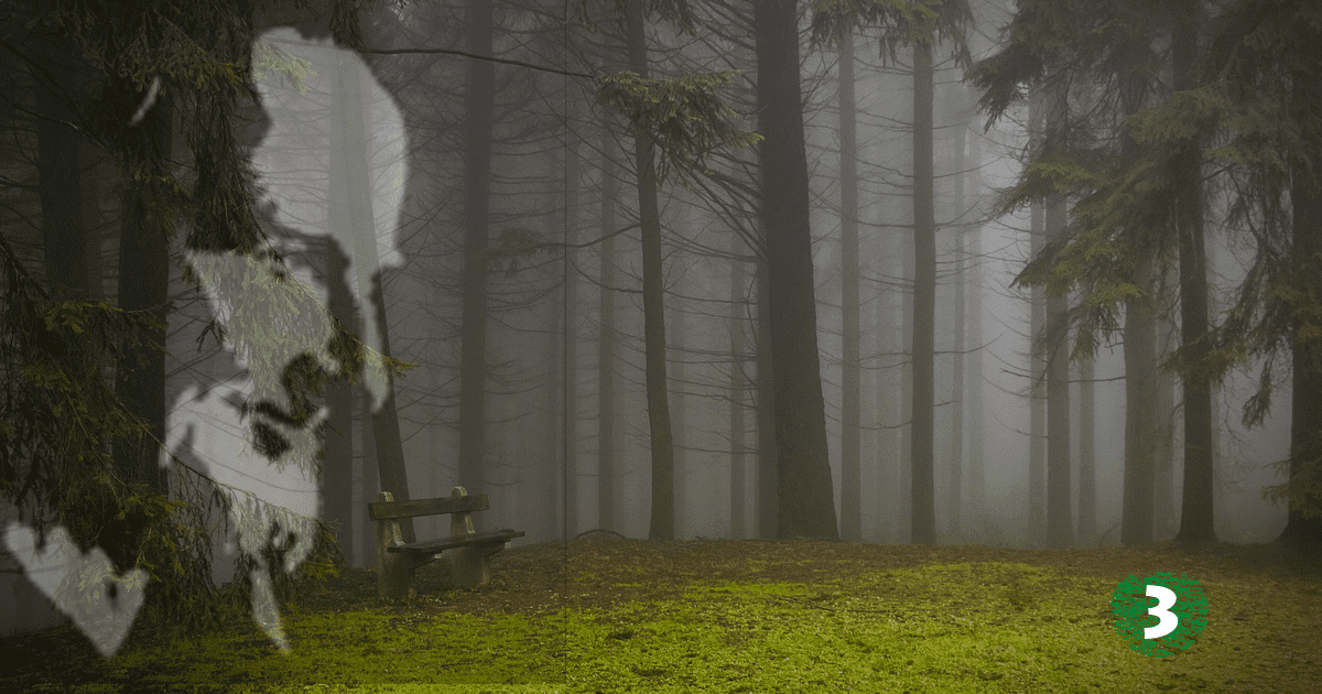 Mini-Retreat•Podcast: Vincent de Paul: a True Mystic #IamVincent #famvin400