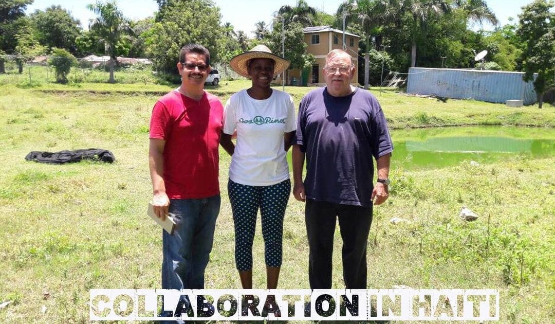 VFHI: Collaboration in Haiti