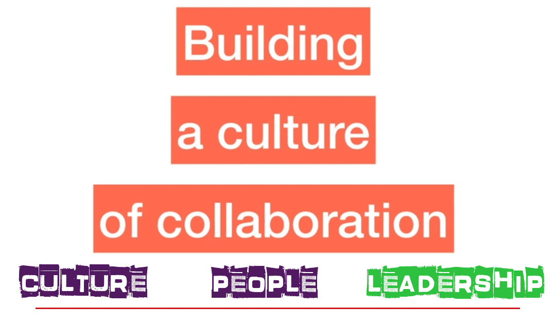 Collaboration #3: Leadership #IamVincent