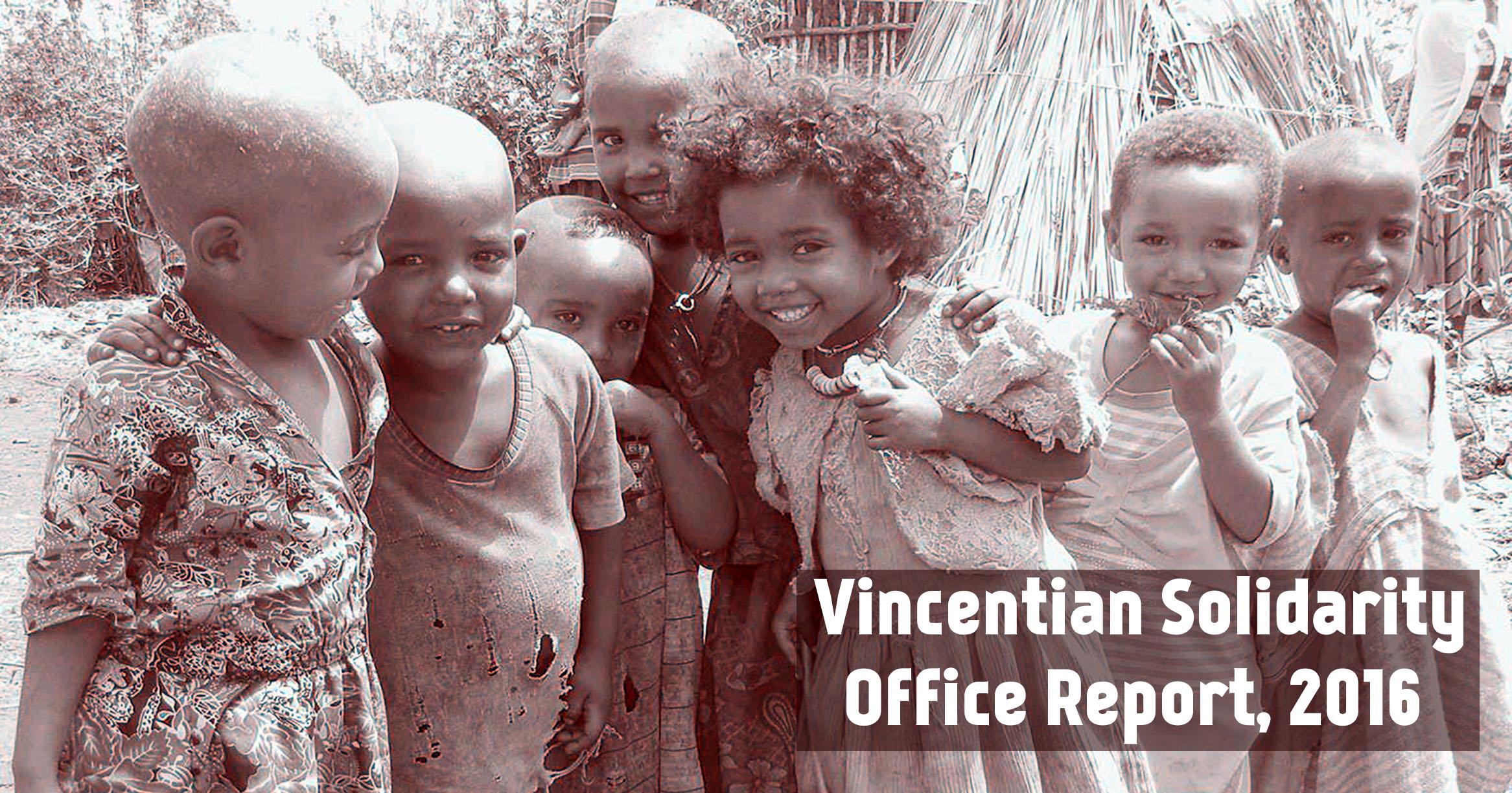Vincentian Solidarity Office Annual Report, 2016