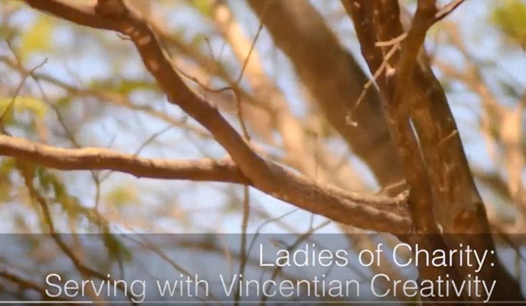 Ladies of Charity: Serving With Vincentian Creativity