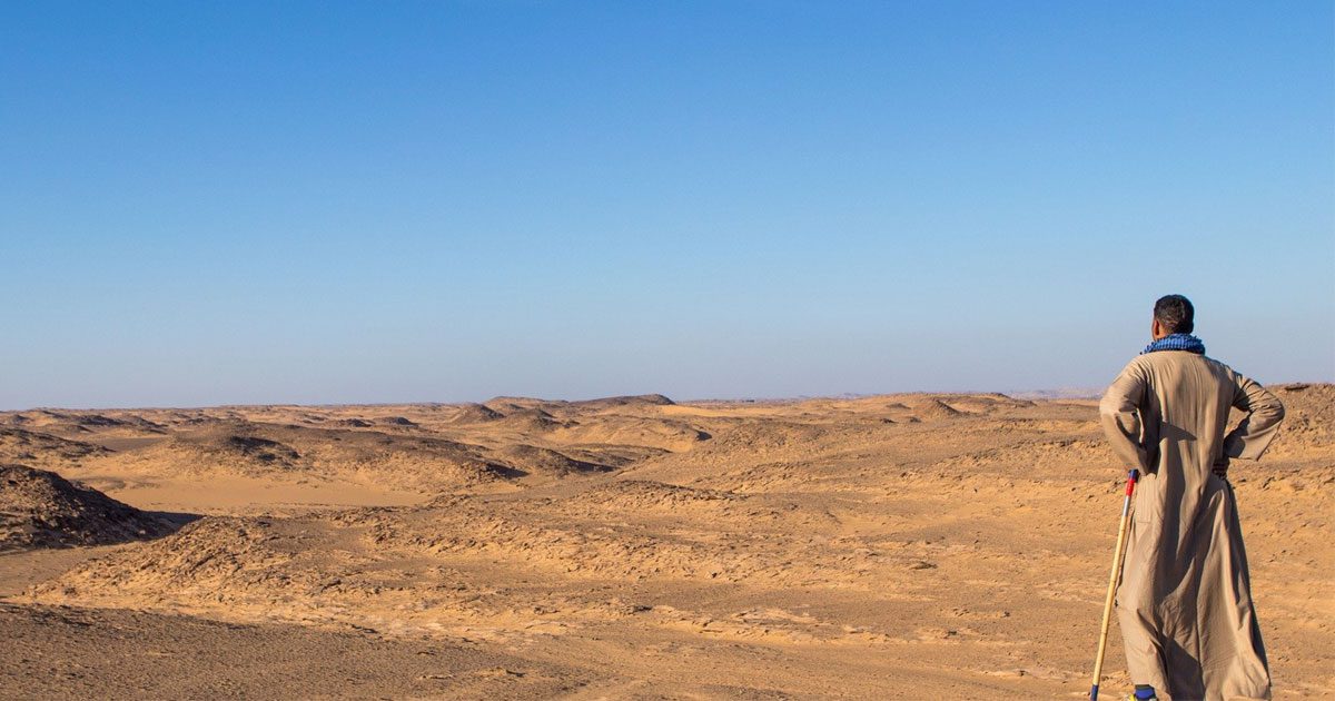 Lenten Reflection: The Spirit Accompanies Us in the Desert