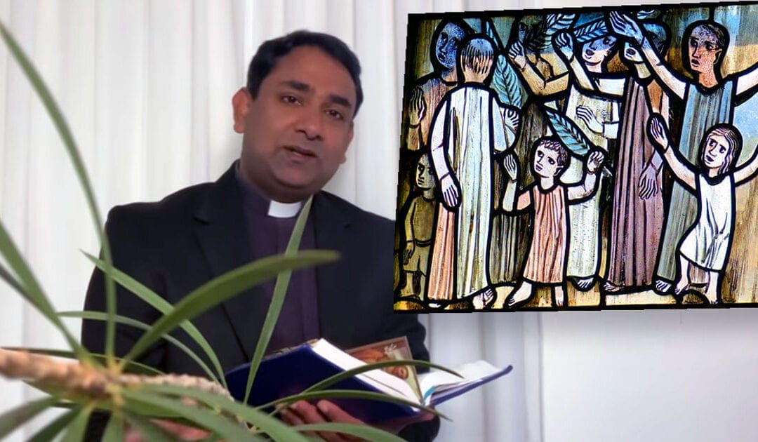 Palm Sunday Reflection by Fr. Rojan George, V.C. (Video)