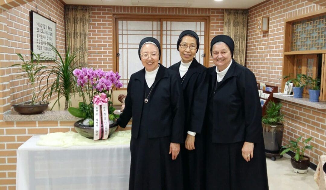 Interview with Sister Jane Ann Cherubin, SC, General Superior of the Sisters of Charity of Seton Hill