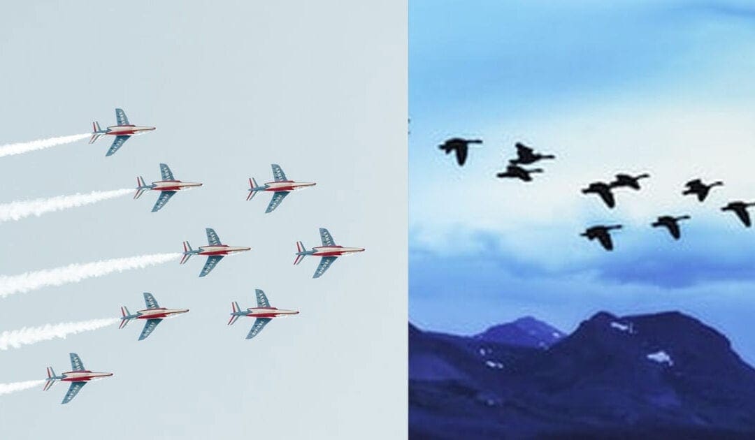 Flying Geese, Fighter Pilots and Ministry