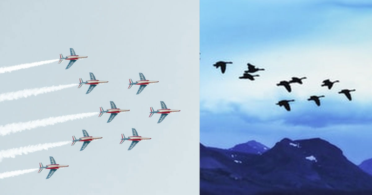 Flying Geese, Fighter Pilots and Ministry