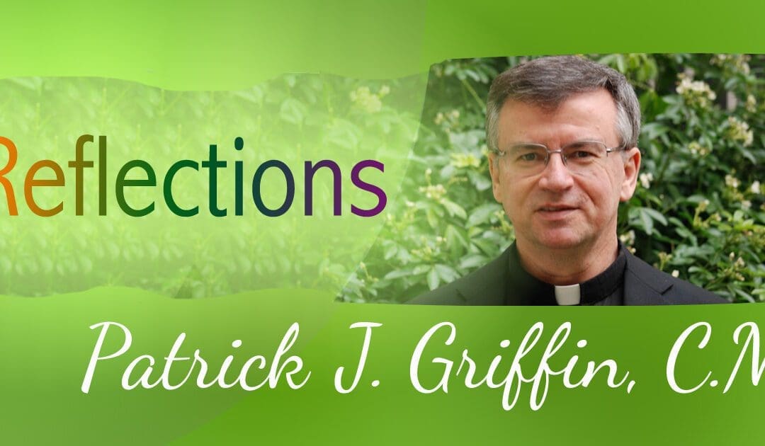 A Vincentian View: Reconciliation and Renewal