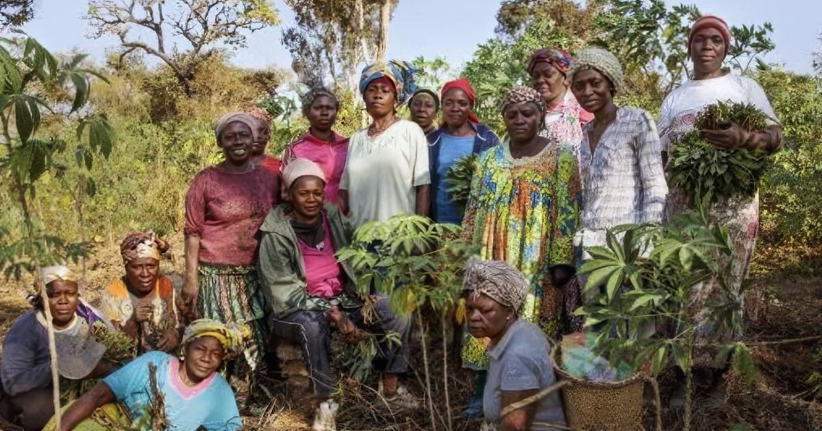 News from the Community Orchard in Yaoundé, Cameroon – Winner of the AIC Dominique Prize 2022