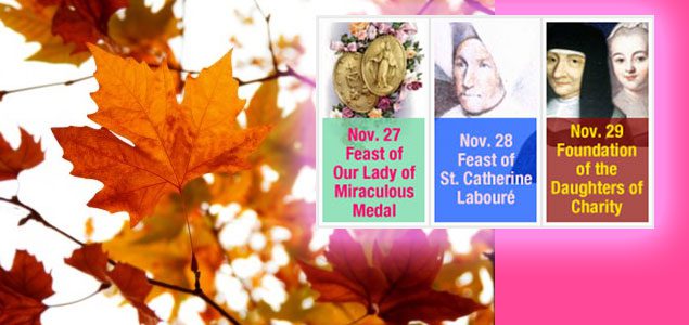 Three days in November – Vincentian Family