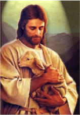 Good shepherd