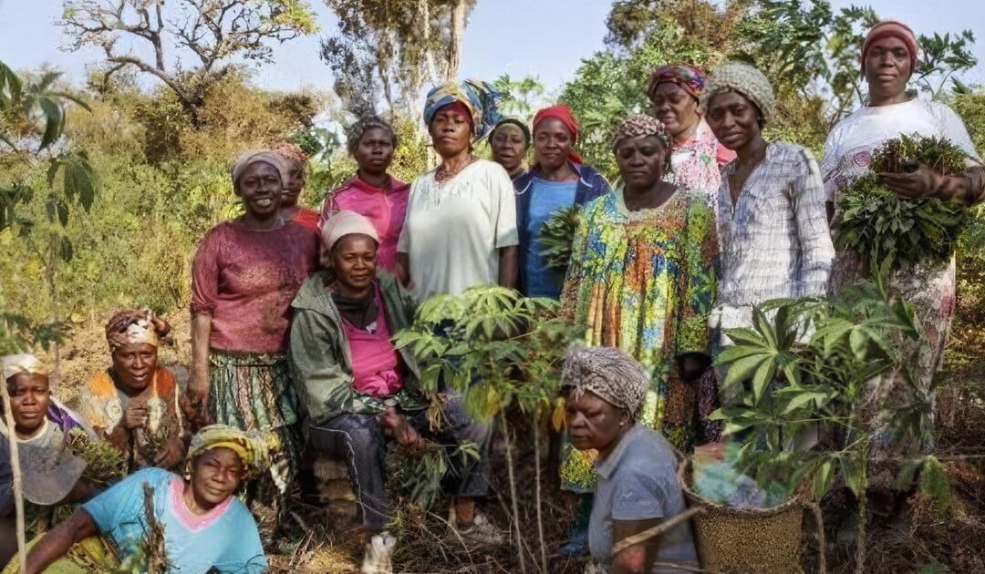 Des nouvelles du verger communautaire de Yaoundé, au Cameroun – Lauréat du Prix AIC Dominique 2022