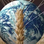 Primo vertice dei Ministri dell’Agricoltura: il G20 chiede più regole