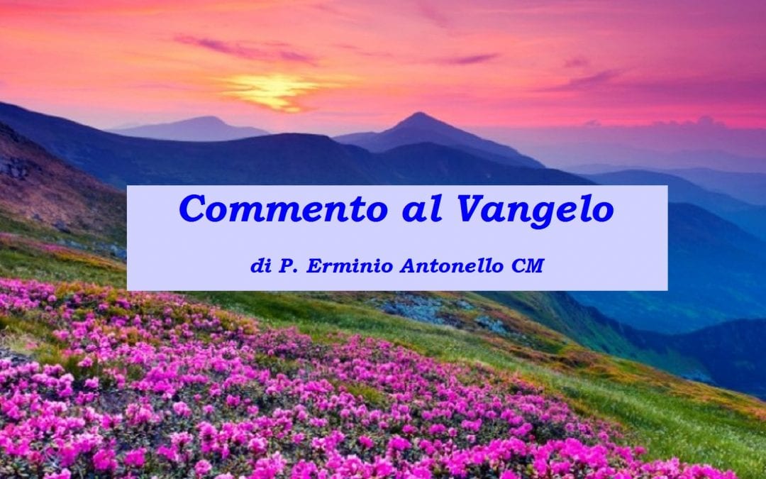 Commento al Vangelo della XXXI domenica anno A – di P. Erminio Antonello