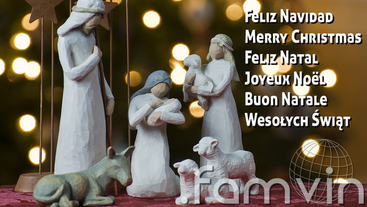 Natale felice e solidale dal team .famvin