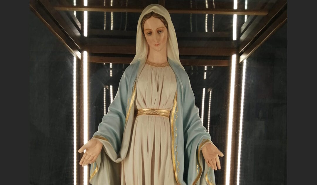 Pellegrini con Maria: A 190 anni delle apparizioni della Vergine Maria a Santa Caterina Labouré