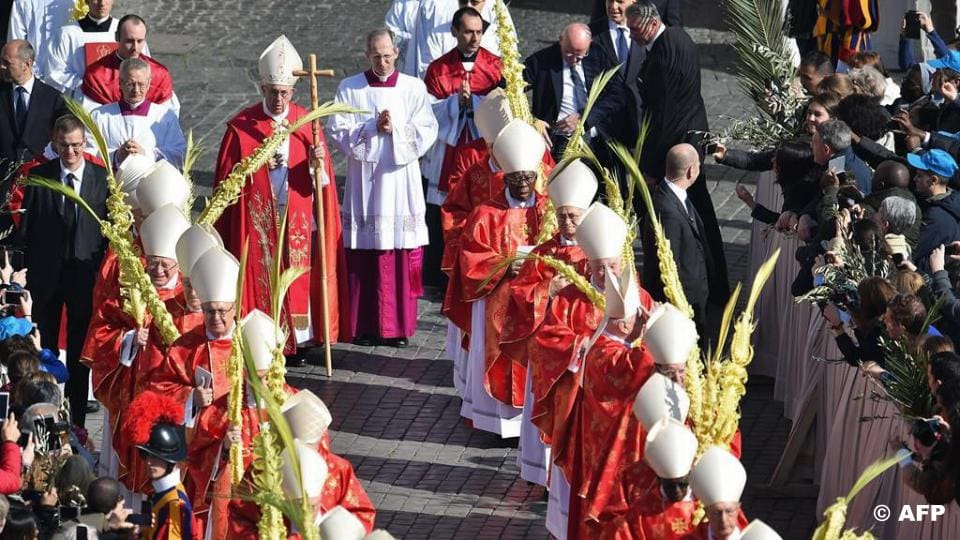 Papież Franciszek: homilia w Niedzielę Palmową