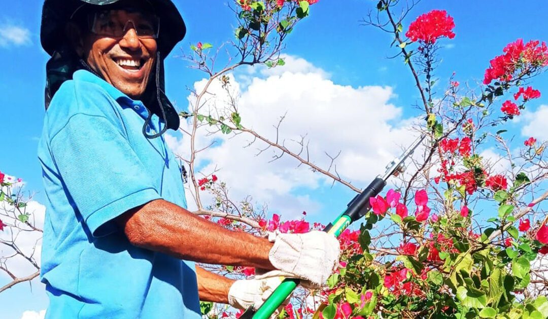 Plantando a Promoção Social: SSVP estende a mão e ajuda jardineiro em Quixadá (Brasil)