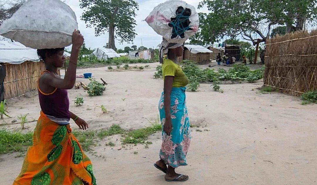 Norte de Moçambique: alerta contra o esquecimento