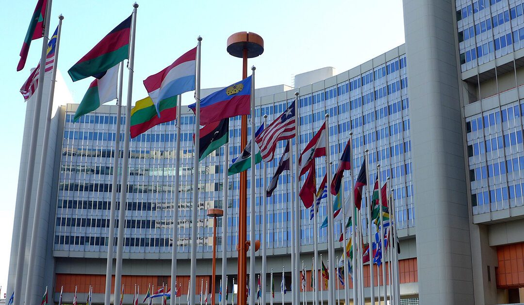 Relatório sobre a participação do Conselho Geral da SSVP na sede das Nações Unidas – Genebra