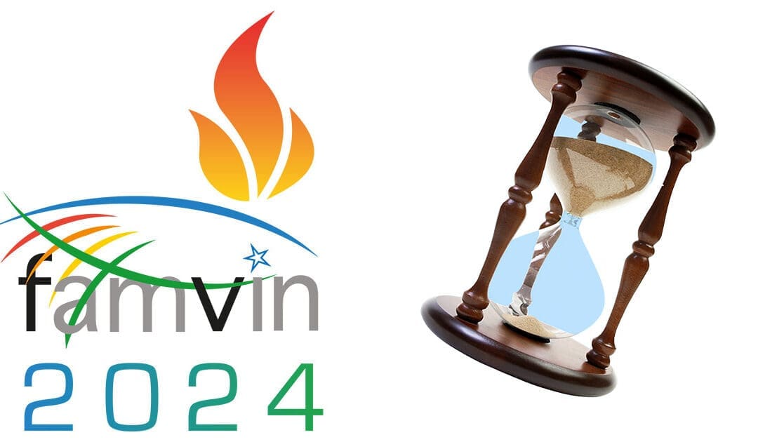 A contagem regressiva começou: estamos a menos de um mês para nos encontrarmos em Roma #famvin2024