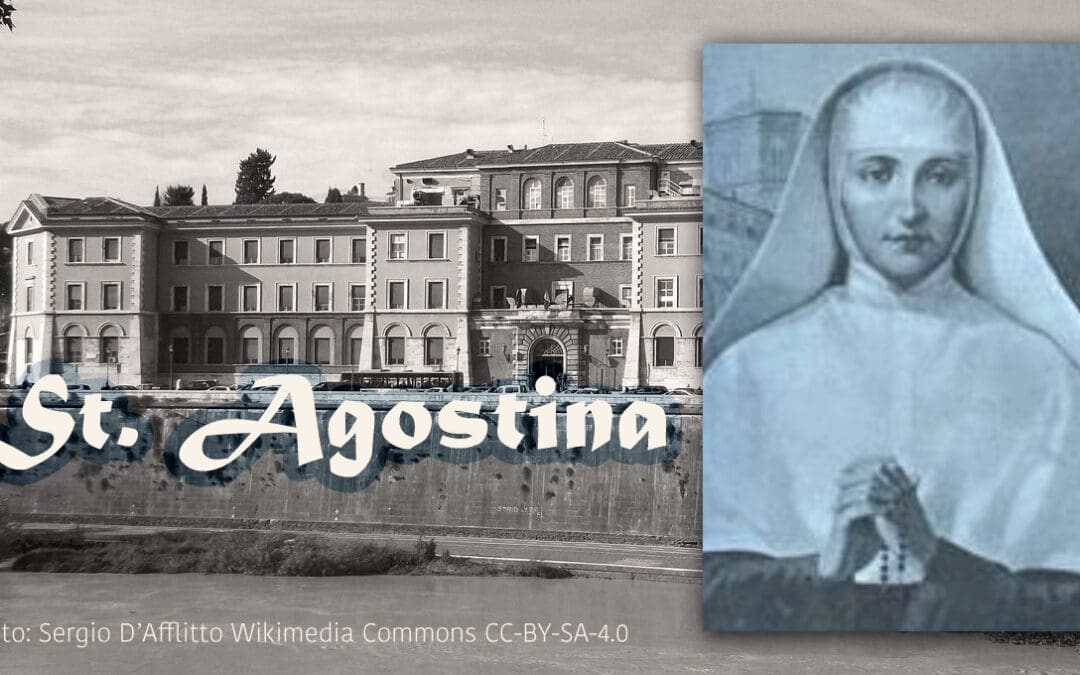 No dia 13 de novembro, celebramos a festa de Santa Agostina Livia Pietrantoni